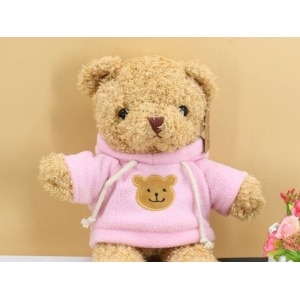 Suéter de felpa de oso de peluche rosa Animales de felpa a7796c561c033735a2eb6c: Rosa