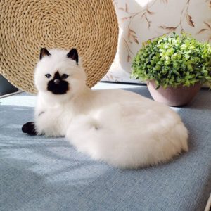 Muñeco gato de peluche blanco Gato de peluche Edad: > 2 años