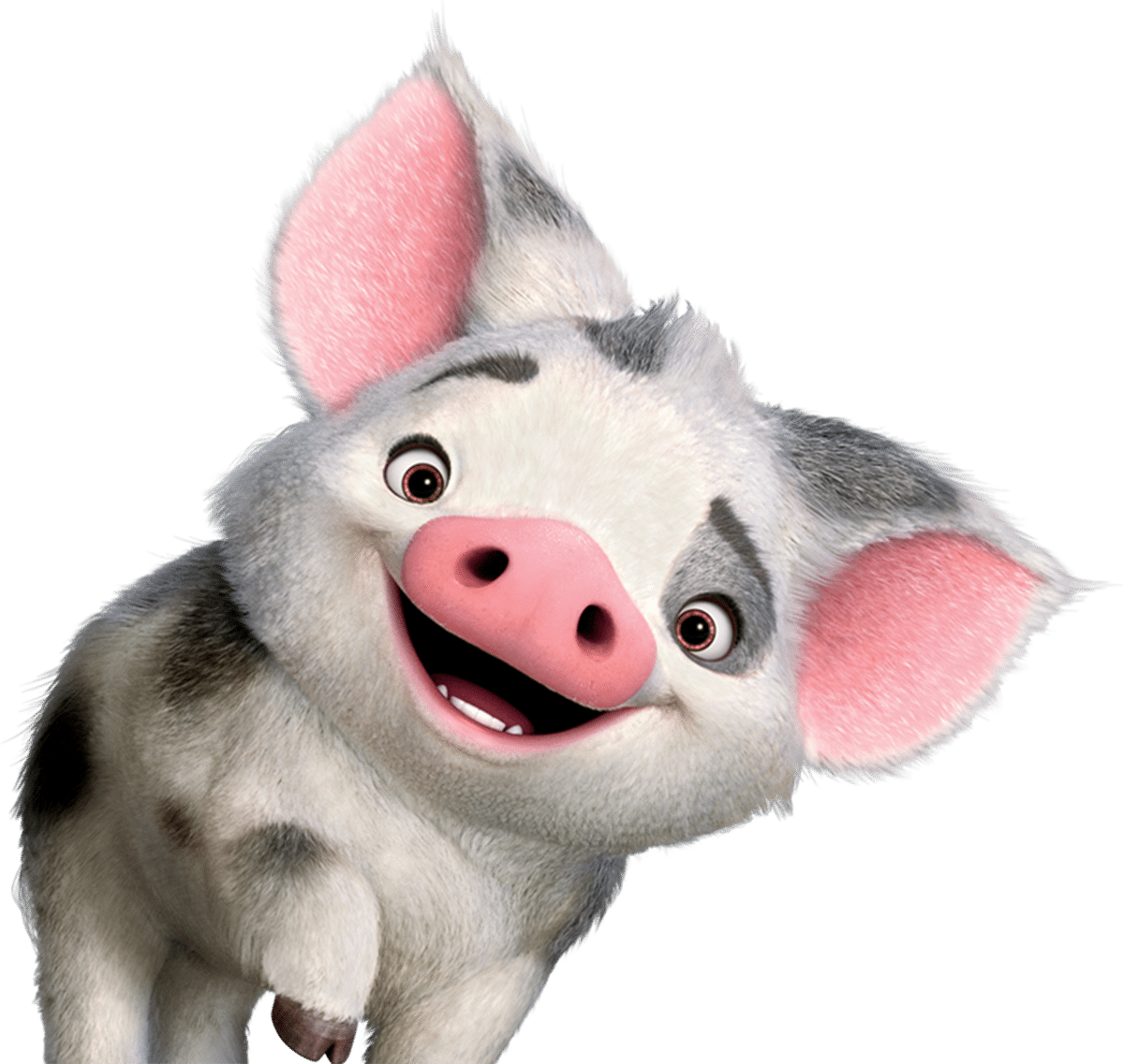 cerdito vaiana peluche